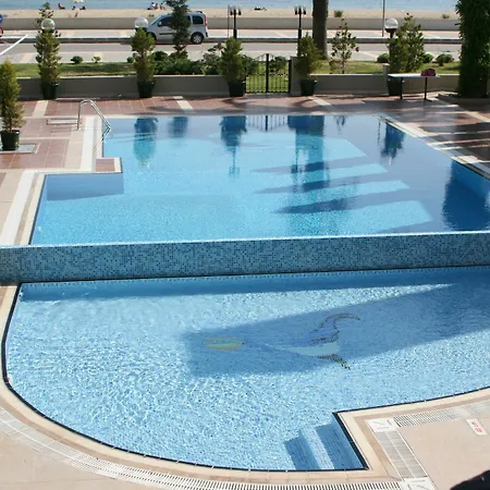 Buyuk Berk Sarimsakli